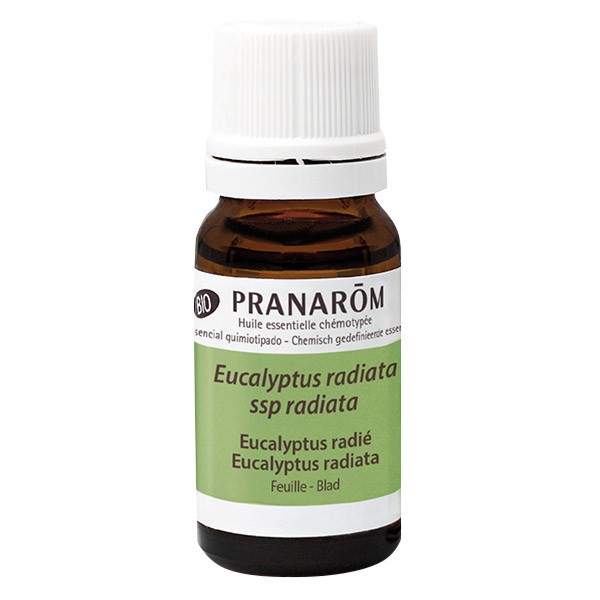 Huile essentielle Pranarom à l'eucalyptus radié - Clinique de Santé  Respiratoire des Sommets